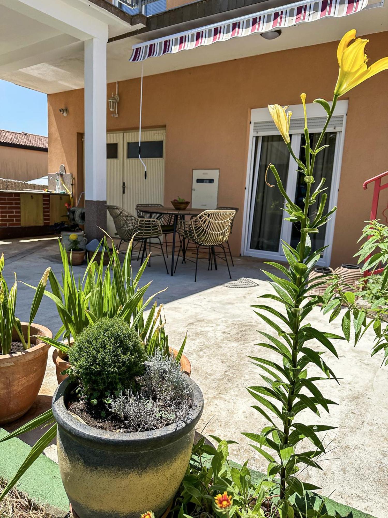 Apartments Dent أوماغ المظهر الخارجي الصورة