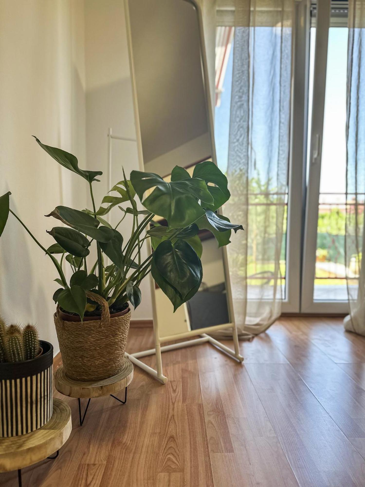 Apartments Dent أوماغ المظهر الخارجي الصورة